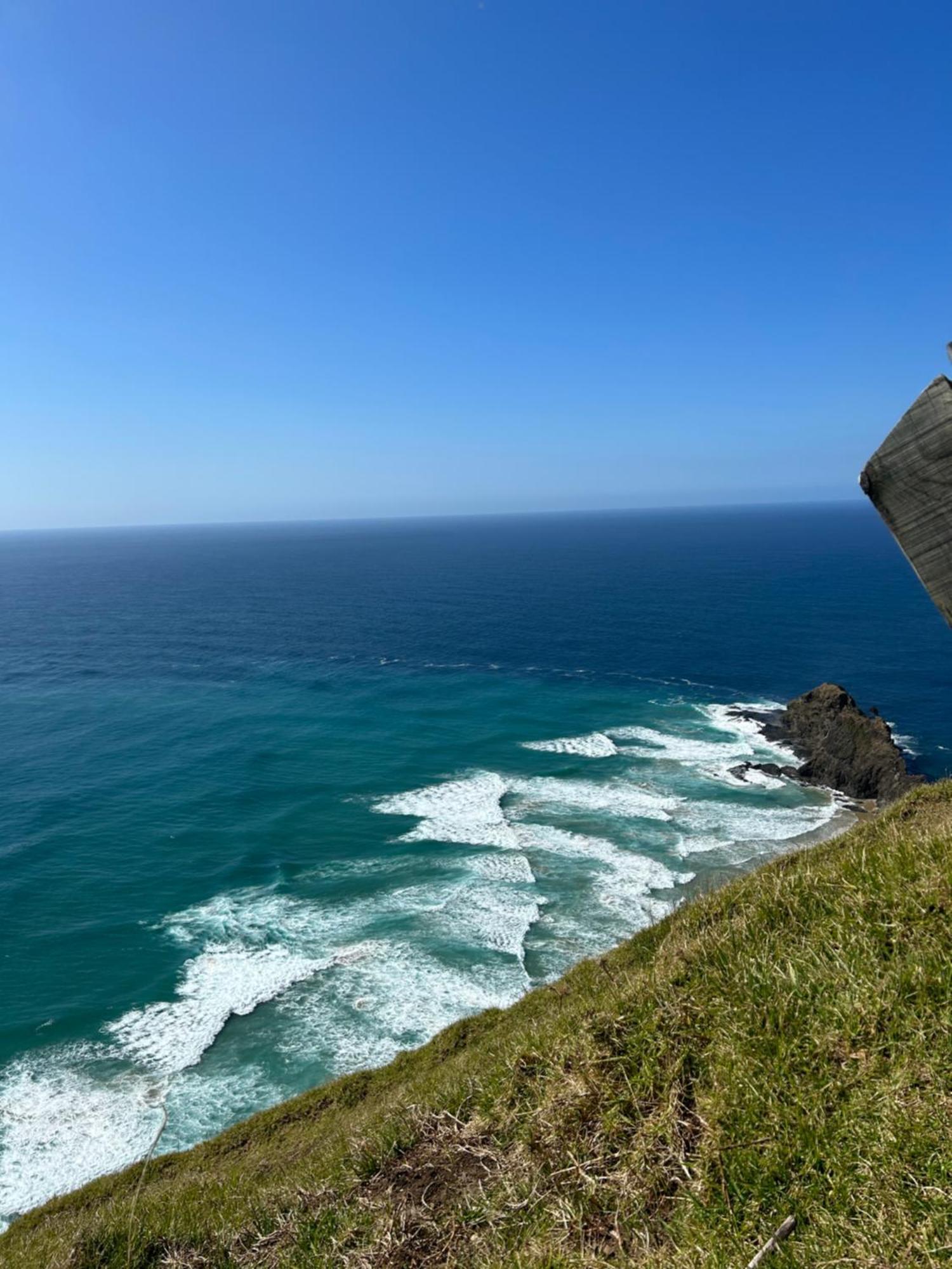 Green Turtle Cottage Pukenui 外观 照片