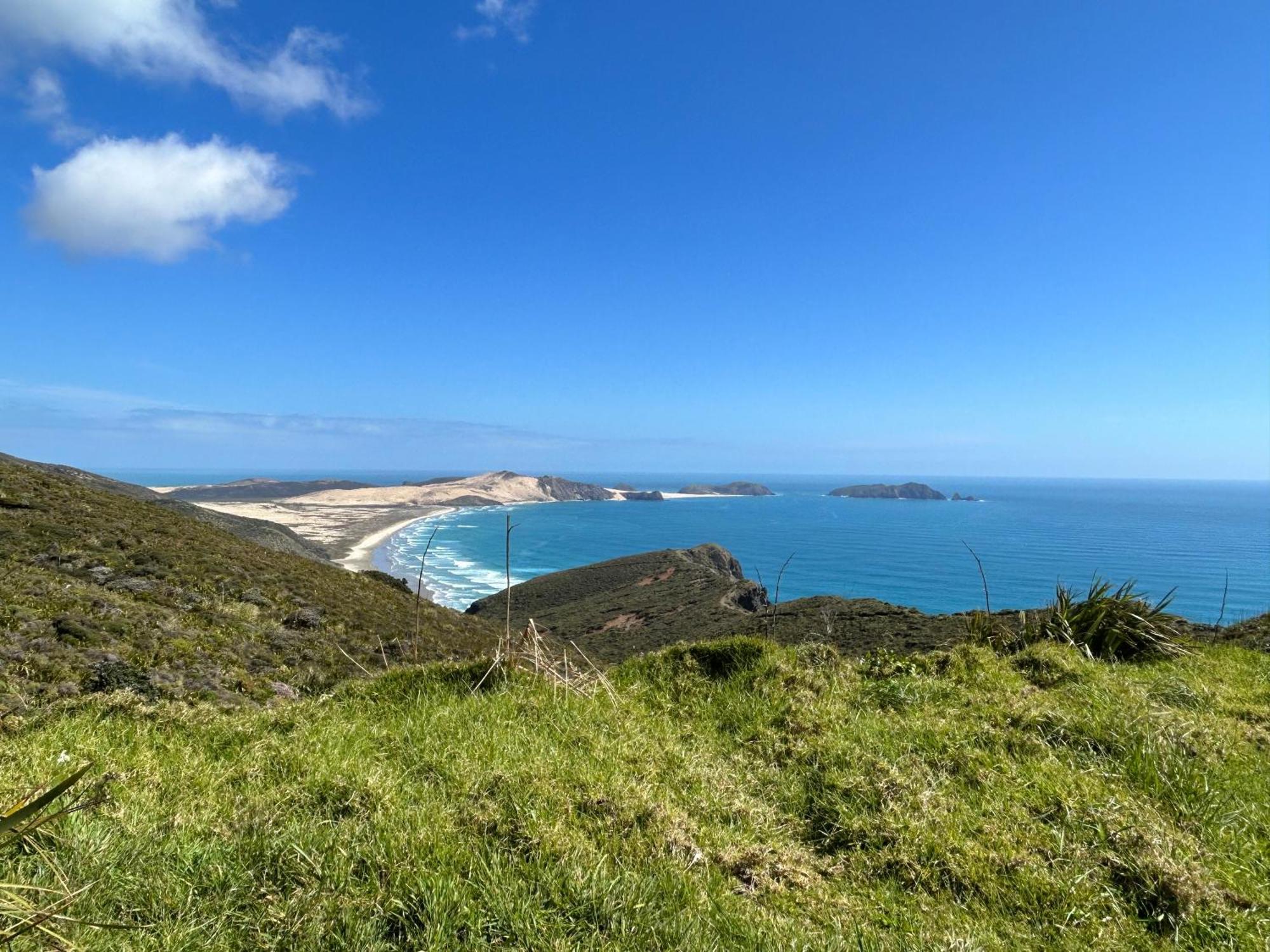 Green Turtle Cottage Pukenui 外观 照片