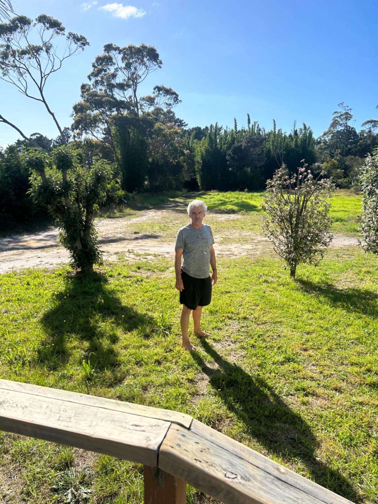 Green Turtle Cottage Pukenui 外观 照片